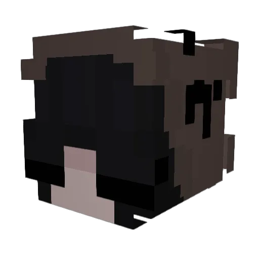 AngryAsian12 Minecraft avatar head, 3D render