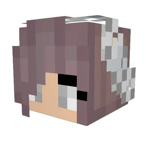 AngryAutumn Minecraft avatar head, 3D render