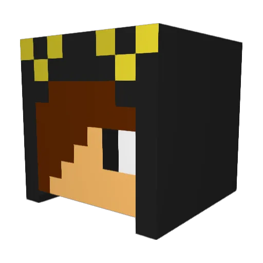 AngryAzn11 Minecraft avatar head, 3D render