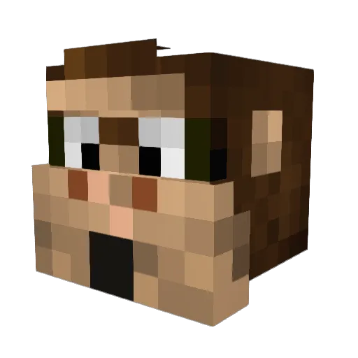 AngryCoconutz Minecraft avatar head, 3D render