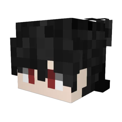 AngryCreeper508 Minecraft avatar head, 3D render