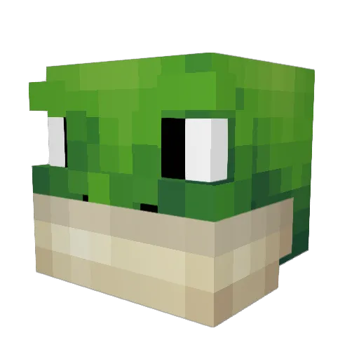 AngryFrog594 Minecraft avatar head, 3D render