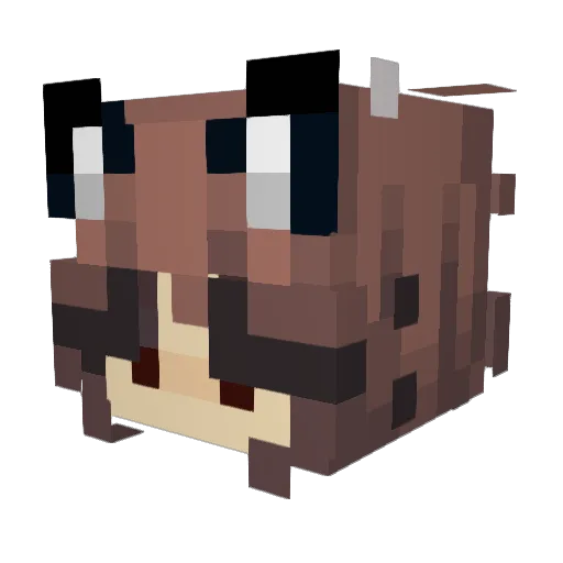 AngryKitten666 Minecraft avatar head, 3D render