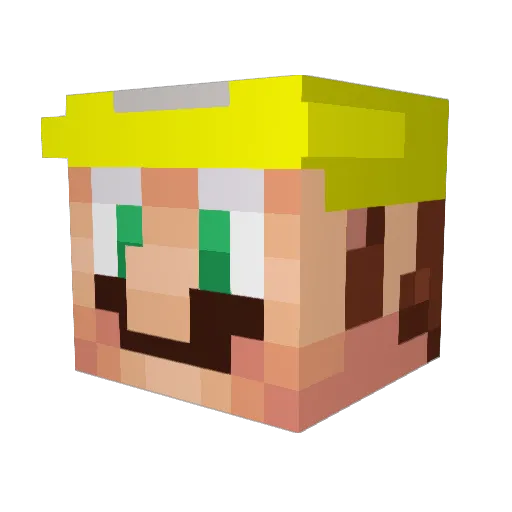 AngryLakeChicken Minecraft avatar head, 3D render