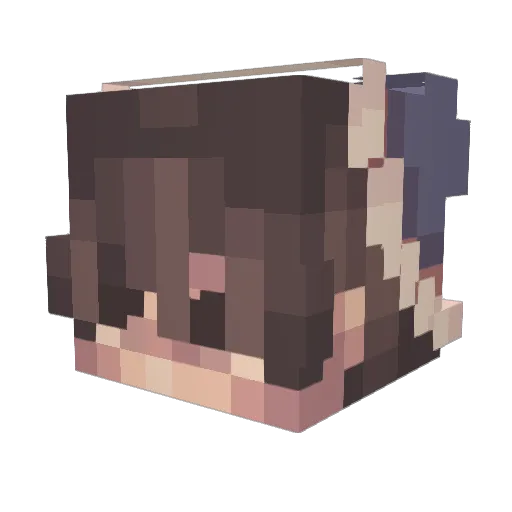 AngryN1gger Minecraft avatar head, 3D render