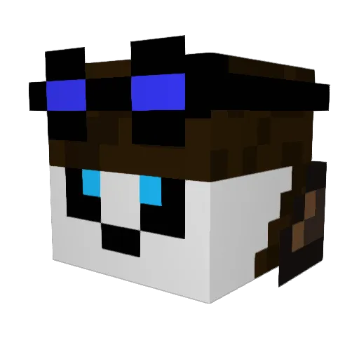 AngryNinja27 Minecraft avatar head, 3D render