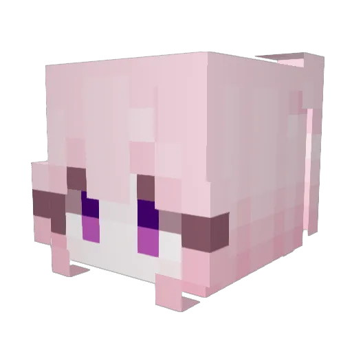 AngryPanda479 Minecraft avatar head, 3D render