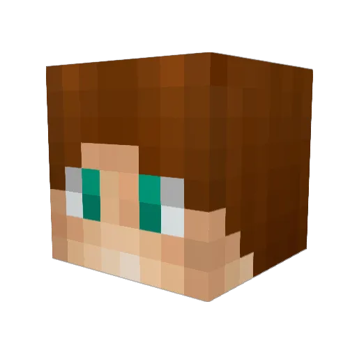 AngryPlushBear Minecraft avatar head, 3D render