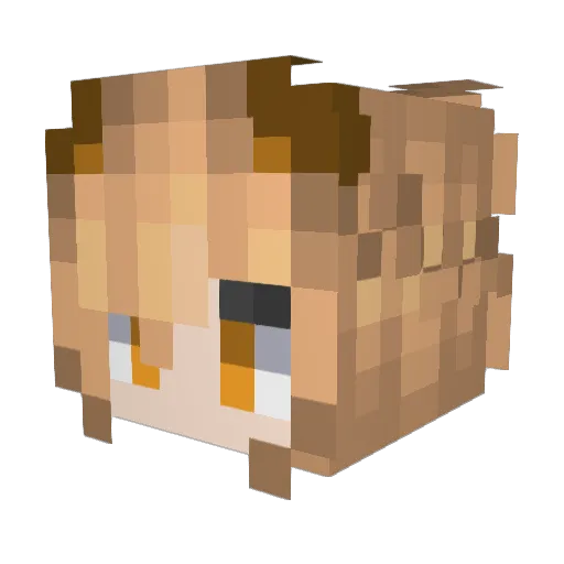 AngryPolska Minecraft avatar head, 3D render