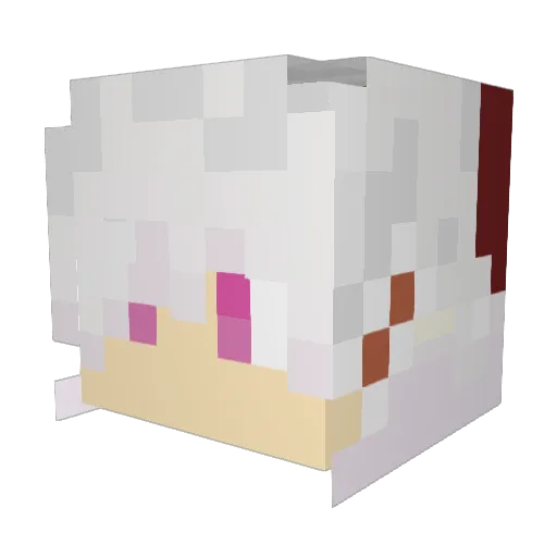 AngryProtester Minecraft avatar head, 3D render