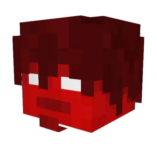 AngryRacc Minecraft avatar head, 3D render