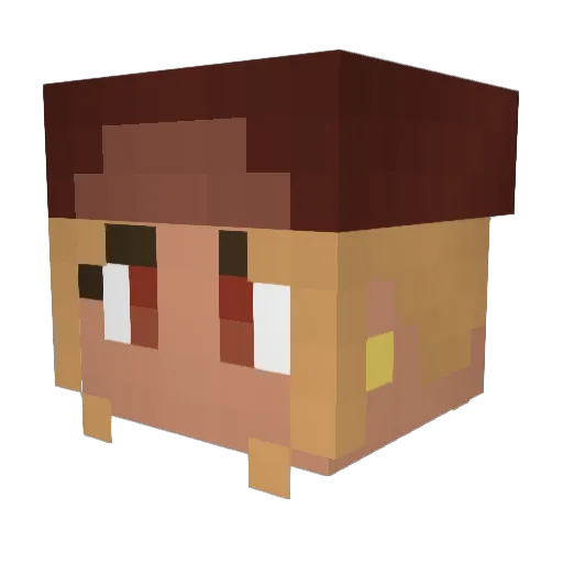 AngrySpongeCraft Minecraft avatar head, 3D render