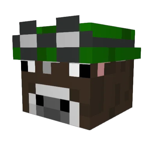Angus0 Minecraft avatar head, 3D render