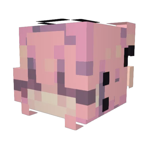Anguwuu Minecraft avatar head, 3D render