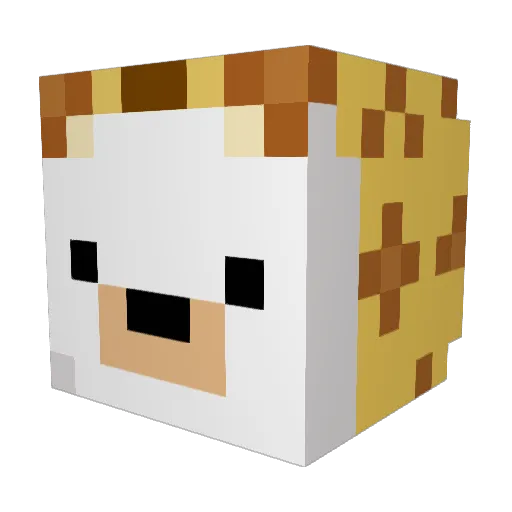 Angxlxss Minecraft avatar head, 3D render