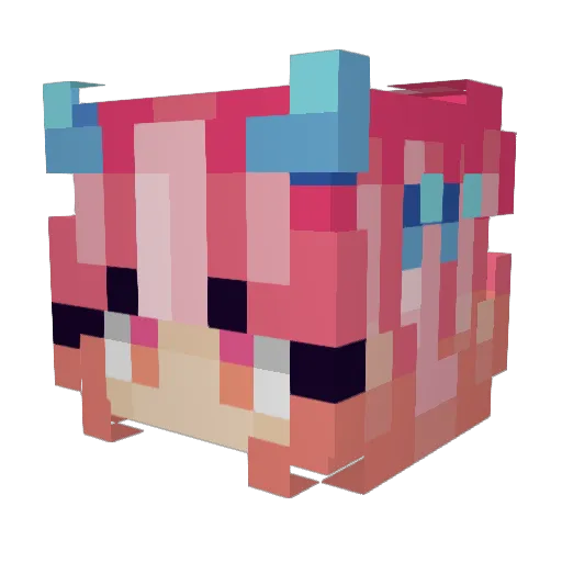 AngyPaws Minecraft avatar head, 3D render