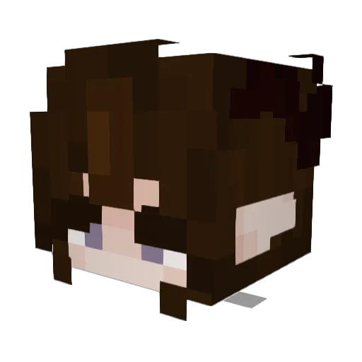 AngyPenguin Minecraft avatar head, 3D render
