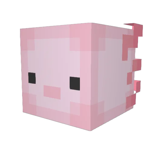 Angy_Axolotl Minecraft avatar head, 3D render