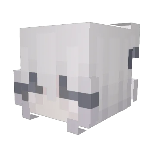 AnhDayRoi321 Minecraft avatar head, 3D render