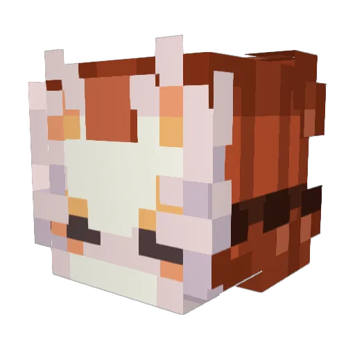 Anhang_ Minecraft avatar head, 3D render