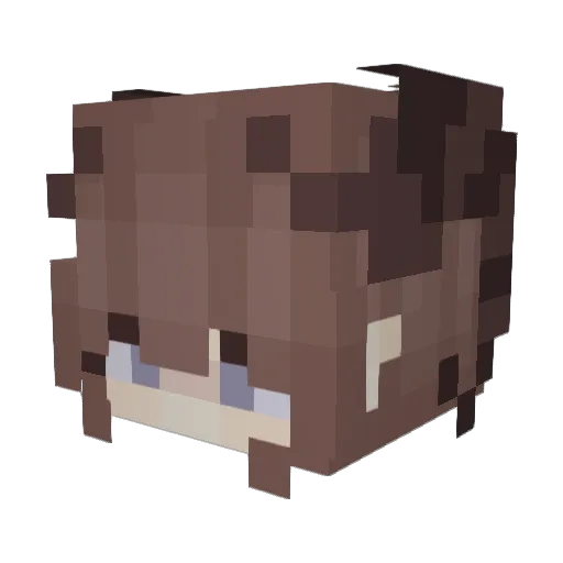 Anhomet Minecraft avatar head, 3D render