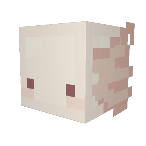 AniAryuokae Minecraft avatar head, 3D render