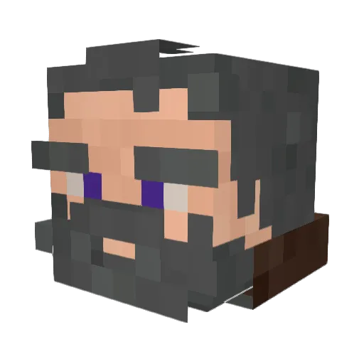 AniDen Minecraft avatar head, 3D render