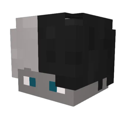 AniStoNsss Minecraft avatar head, 3D render