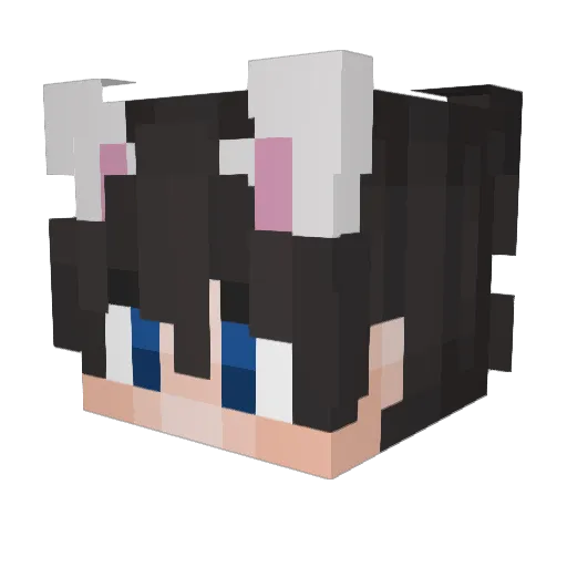 Ania2014_ Minecraft avatar head, 3D render