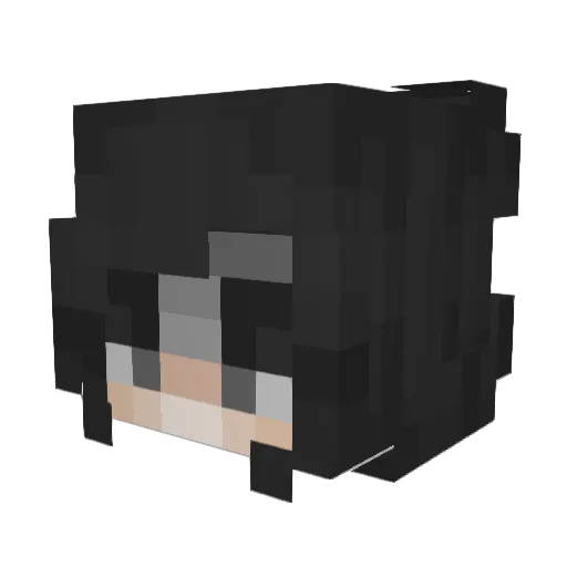 Anibyl Minecraft avatar head, 3D render