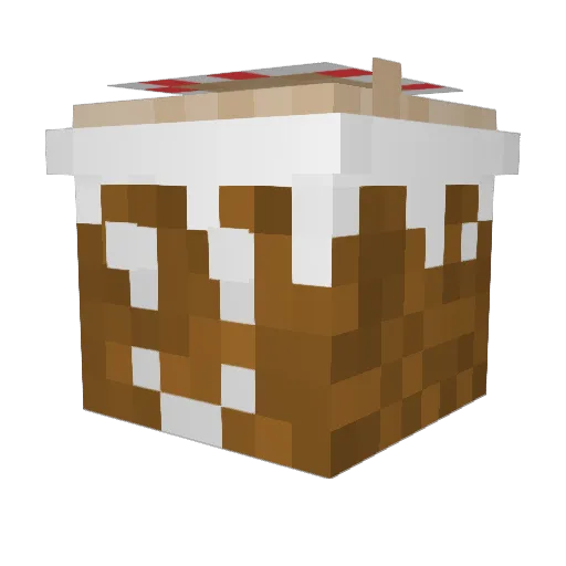 Anicash999_V2 Minecraft avatar head, 3D render