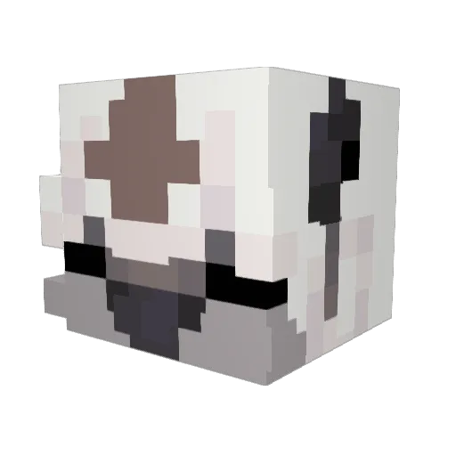 Anicc Minecraft avatar head, 3D render