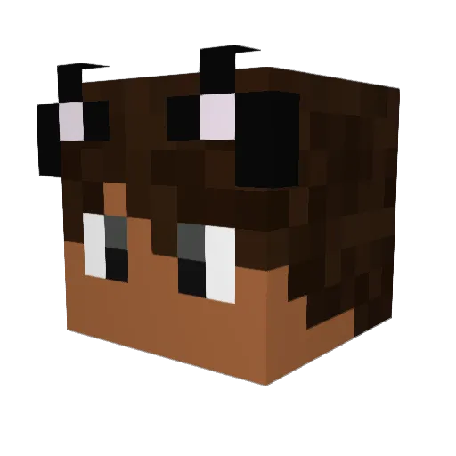 Aniche Minecraft avatar head, 3D render