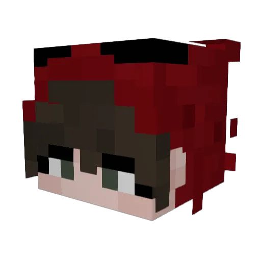 Anichuh Minecraft avatar head, 3D render
