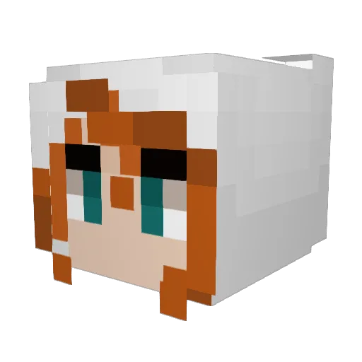 Anicka458 Minecraft avatar head, 3D render