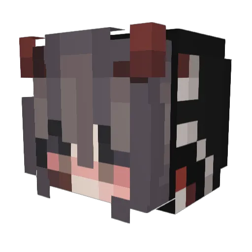 AnicoreYT Minecraft avatar head, 3D render