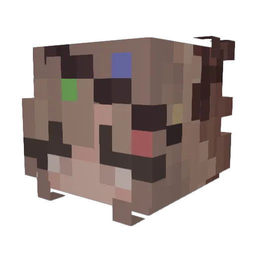 Anie5 Minecraft avatar head, 3D render