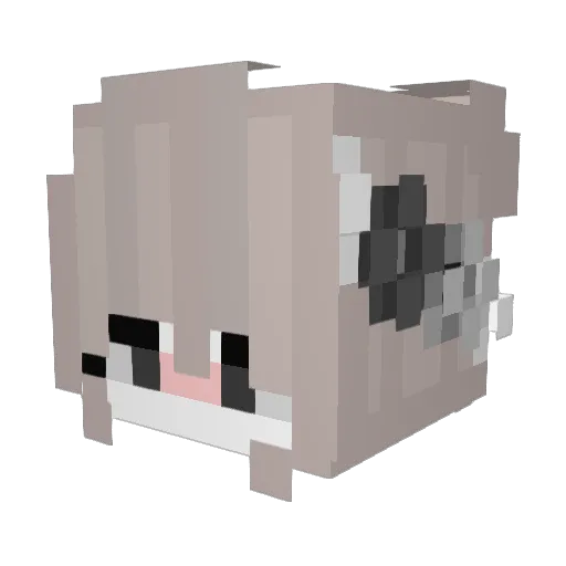 Anieake Minecraft avatar head, 3D render