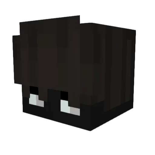 Anik Minecraft avatar head, 3D render