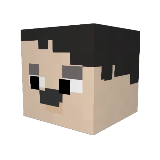 Anikafu Minecraft avatar head, 3D render