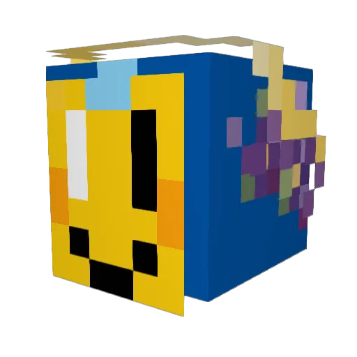 AnilSinclair Minecraft avatar head, 3D render