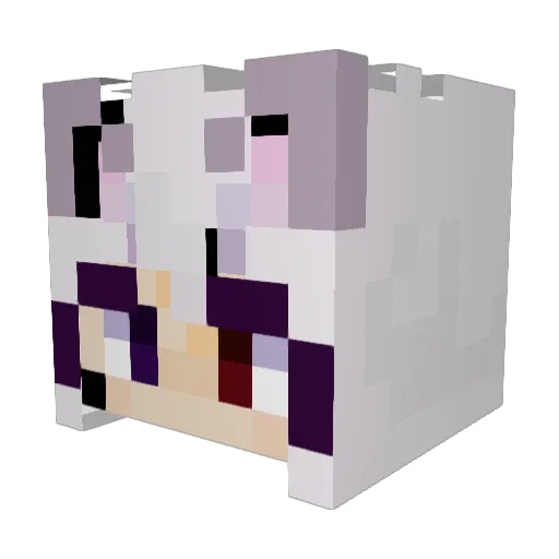 Anil_Strike Minecraft avatar head, 3D render