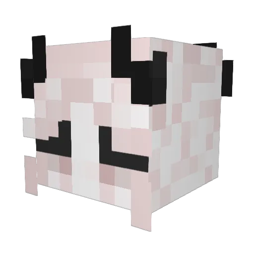 Anilax Minecraft avatar head, 3D render
