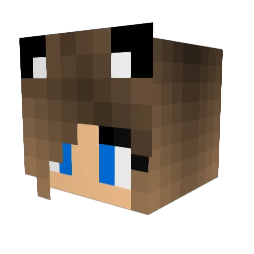 Anileva Minecraft avatar head, 3D render
