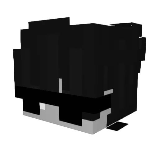 Anilpromax Minecraft avatar head, 3D render