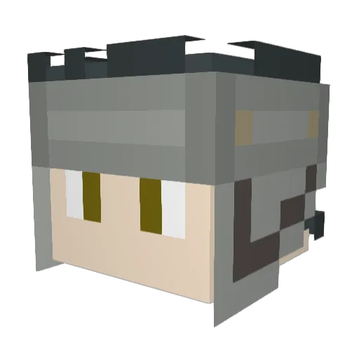 AnimCrowe Minecraft avatar head, 3D render
