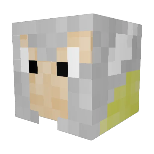 Anima19 Minecraft avatar head, 3D render