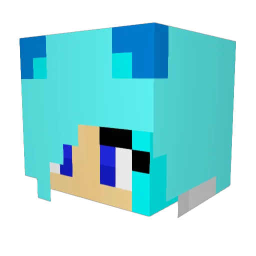 Anima928 Minecraft avatar head, 3D render