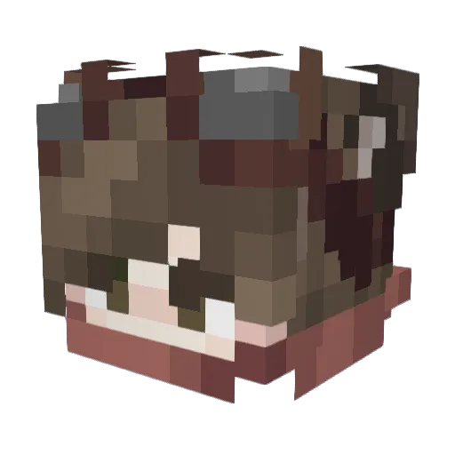 Anima_MC Minecraft avatar head, 3D render