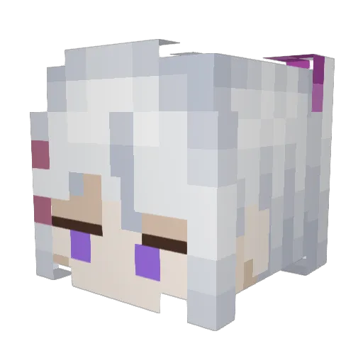 Anima_napstar Minecraft avatar head, 3D render
